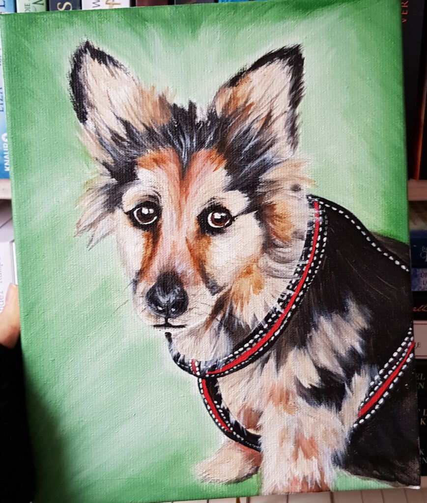 Tierportrait Hund