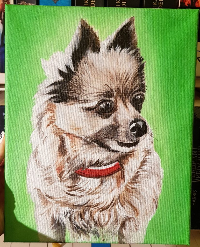 Tierportrait Hund