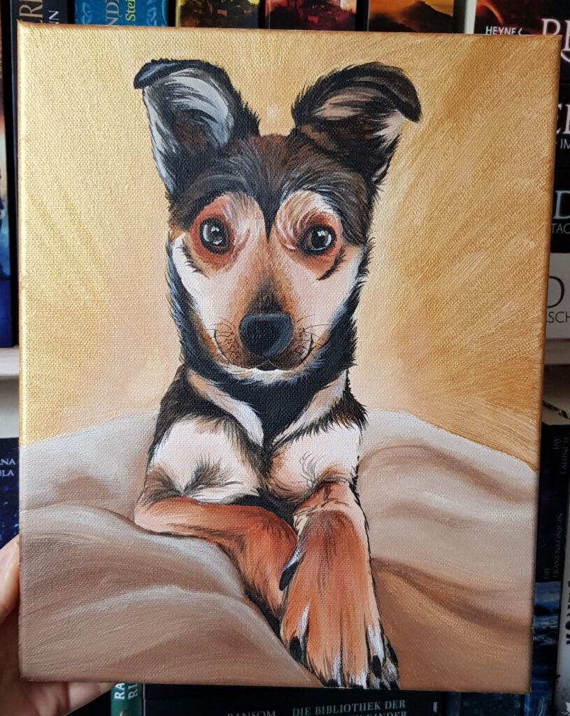 Tierportrait Hund