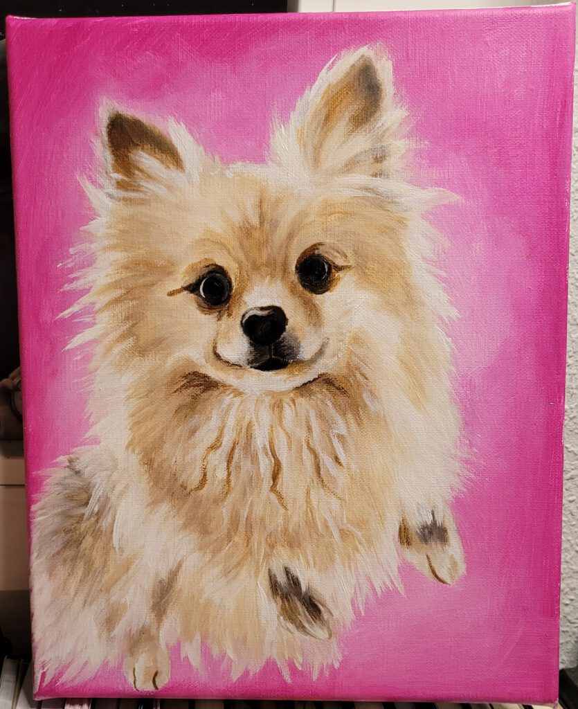 Tierportrait Hund